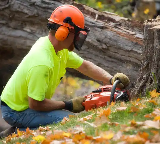 tree services Shelbyville